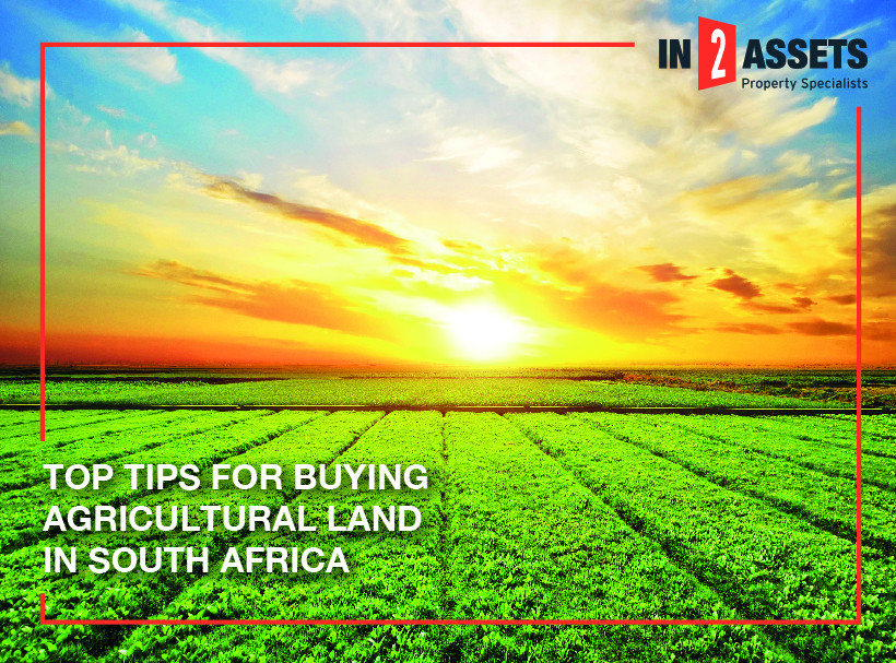 Top Tips for Buying Agricultural Land in SA
