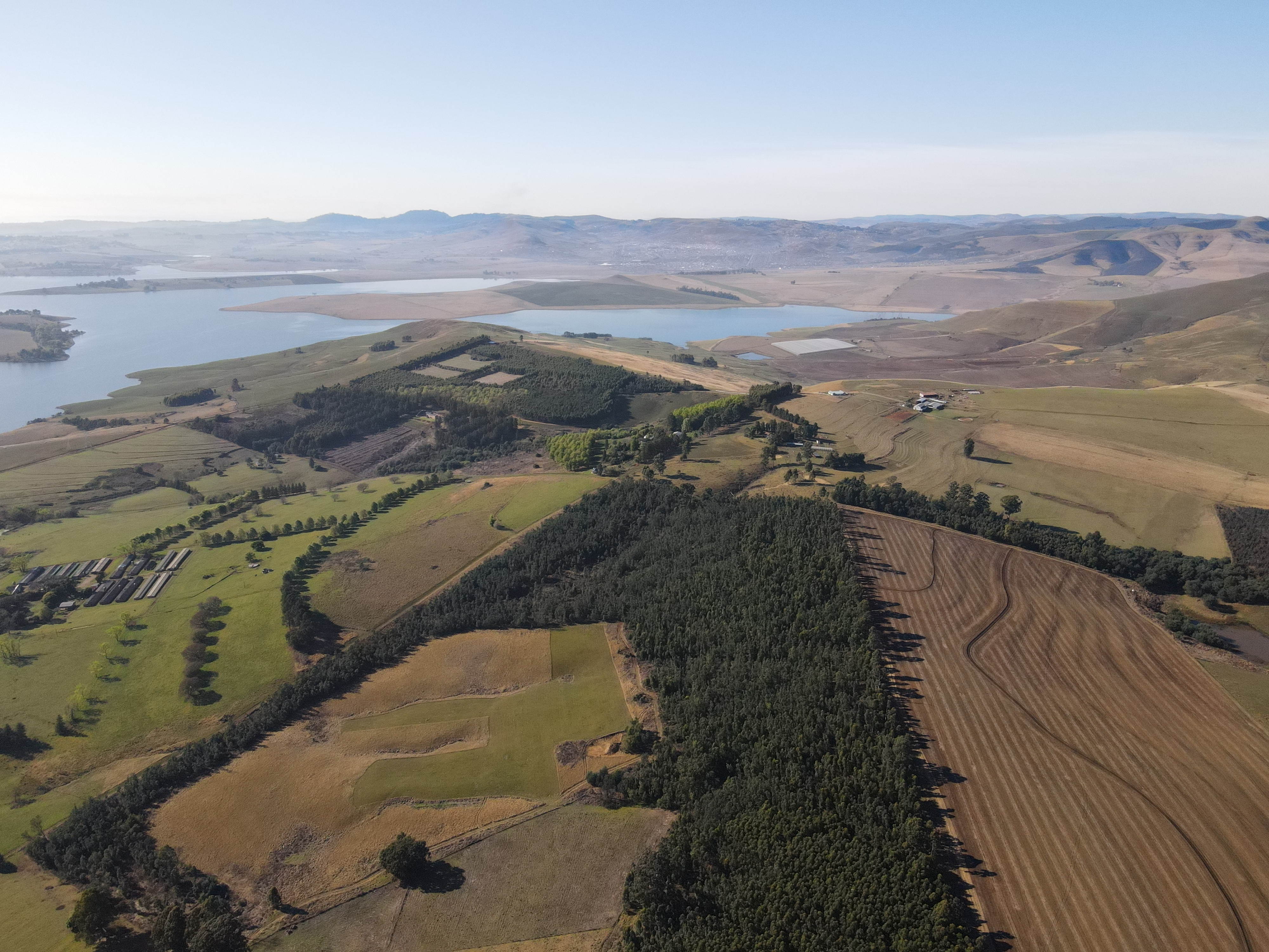 The Changing Face of Farm Sales